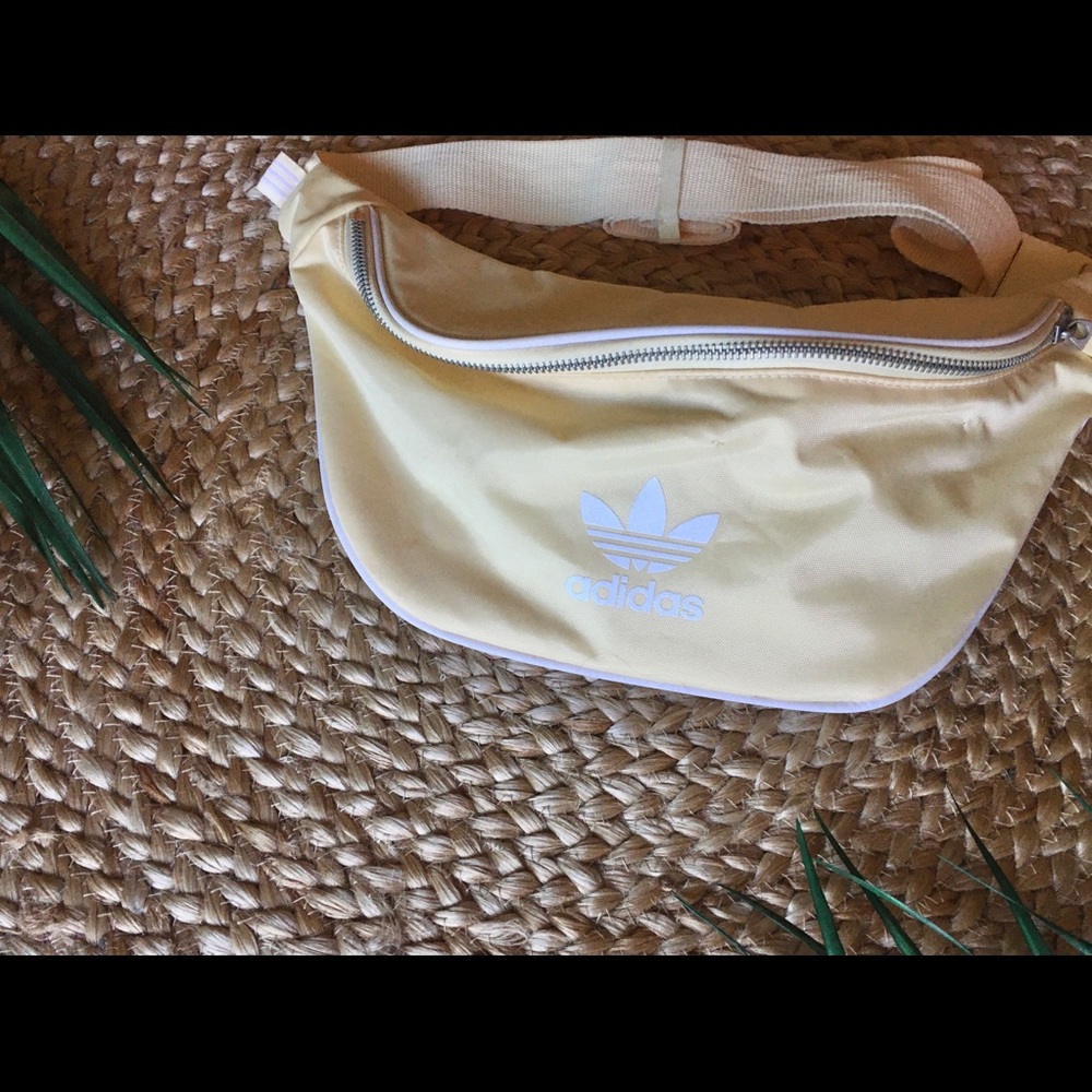 Fanny pack
